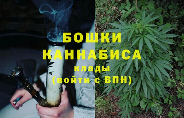 СК Кодинск