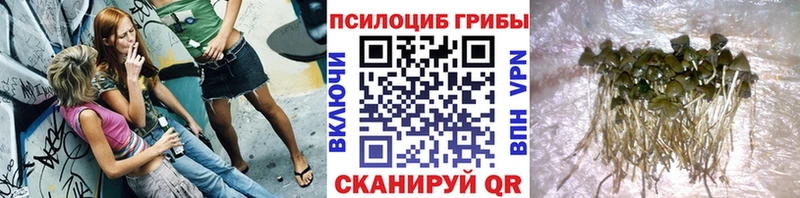 Псилоцибиновые грибы мухоморы  Купить закладки  Североморск 